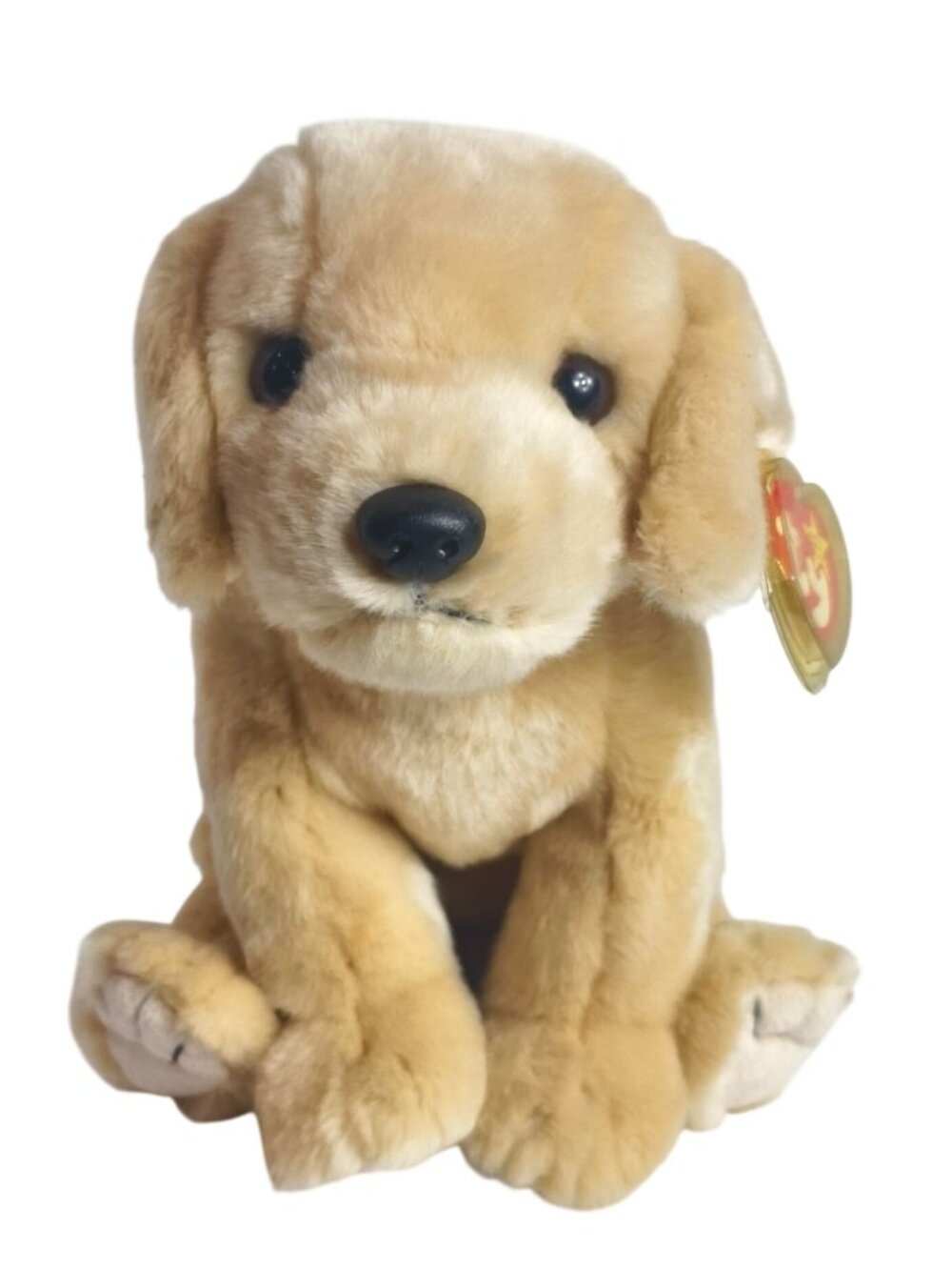 Ty Beanie Buddies Fetch The Retired Golden Retriever Plush 8.5" 1998 MWMT Retire